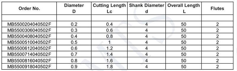 HRC55 carbide 2 Flute Micro End Mill 02